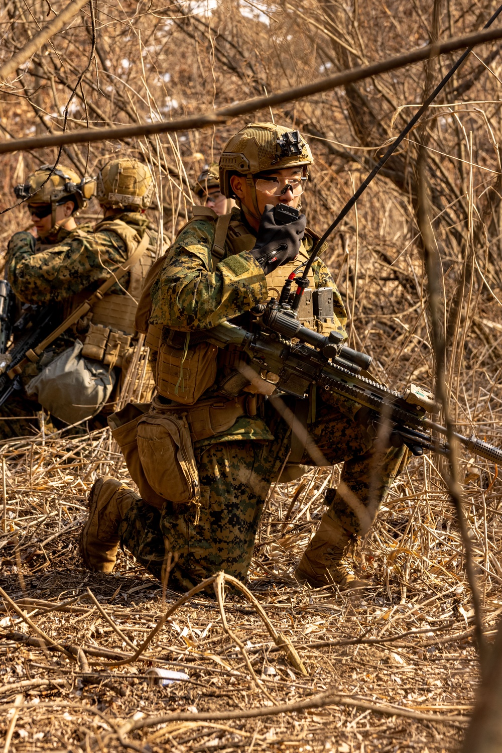 U.S. Marines Execute Dry Fire Platoon Attacks During Korea Viper 25.2 