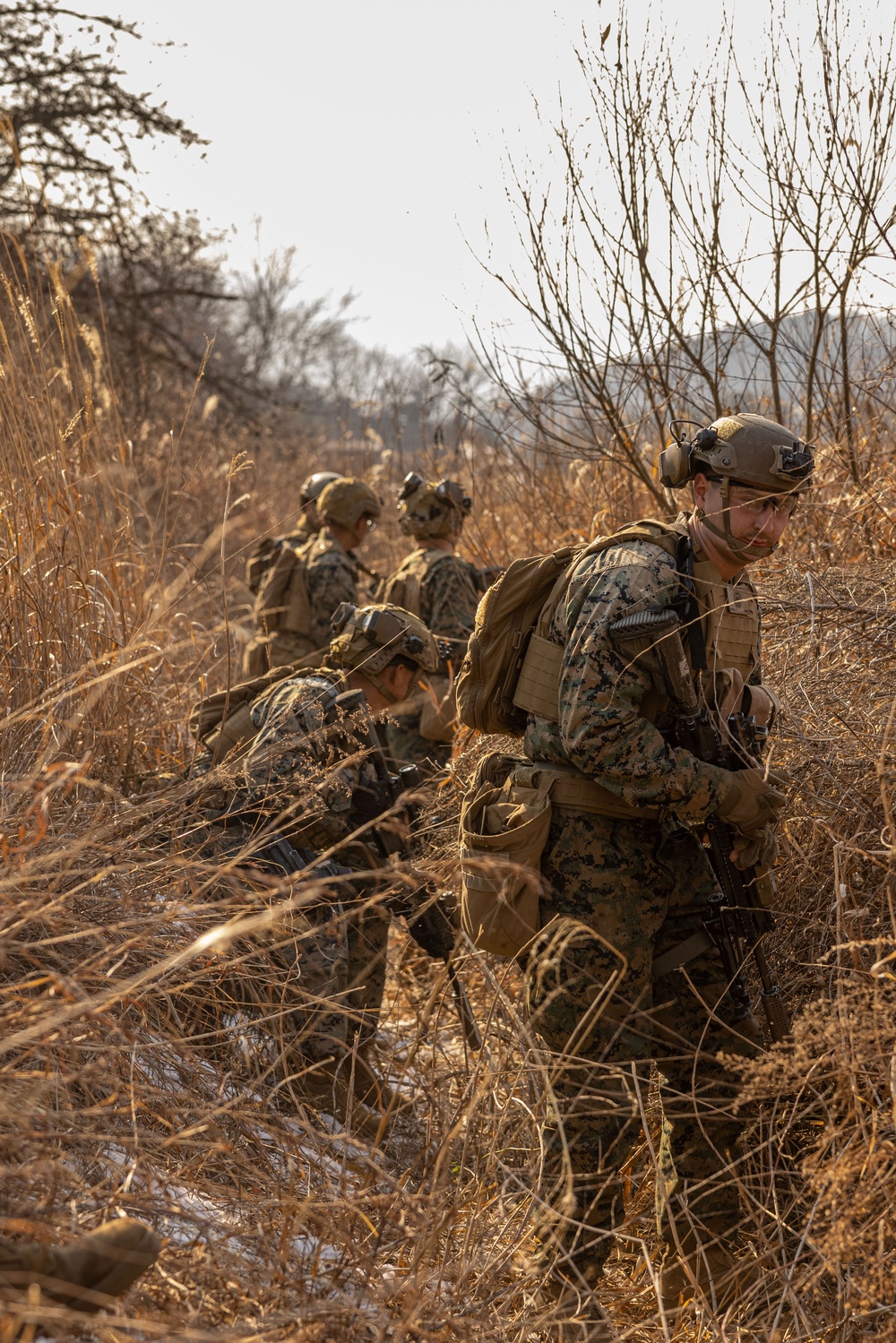 U.S. Marines Execute Dry Fire Platoon Attacks During Korea Viper 25.2 