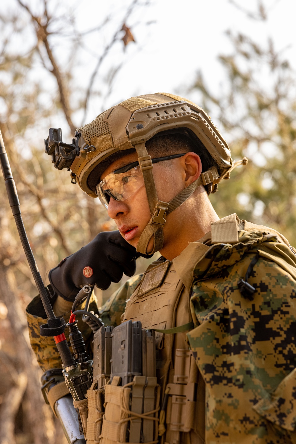 U.S. Marines Execute Dry Fire Platoon Attacks During Korea Viper 25.2 