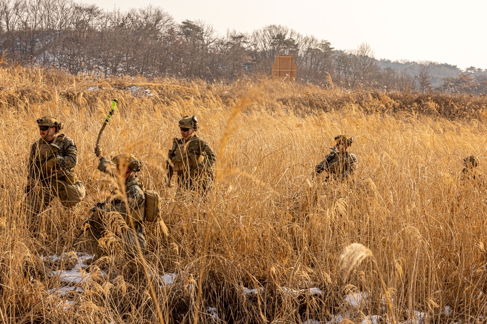 U.S. Marines Execute Dry Fire Platoon Attacks During Korea Viper 25.2 