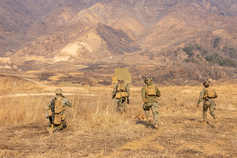 U.S. Marines Execute Dry Fire Platoon Attacks During Korea Viper 25.2 