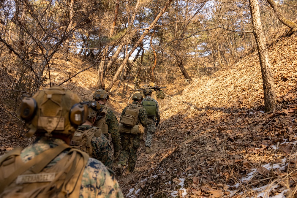 U.S. Marines Execute Dry Fire Platoon Attacks During Korea Viper 25.2 