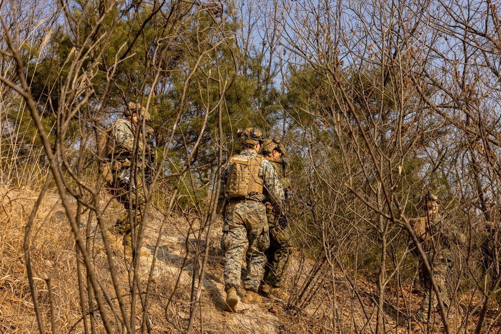 U.S. Marines Execute Dry Fire Platoon Attacks During Korea Viper 25.2 