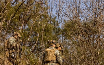 U.S. Marines Execute Dry Fire Platoon Attacks During Korea Viper 25.2 