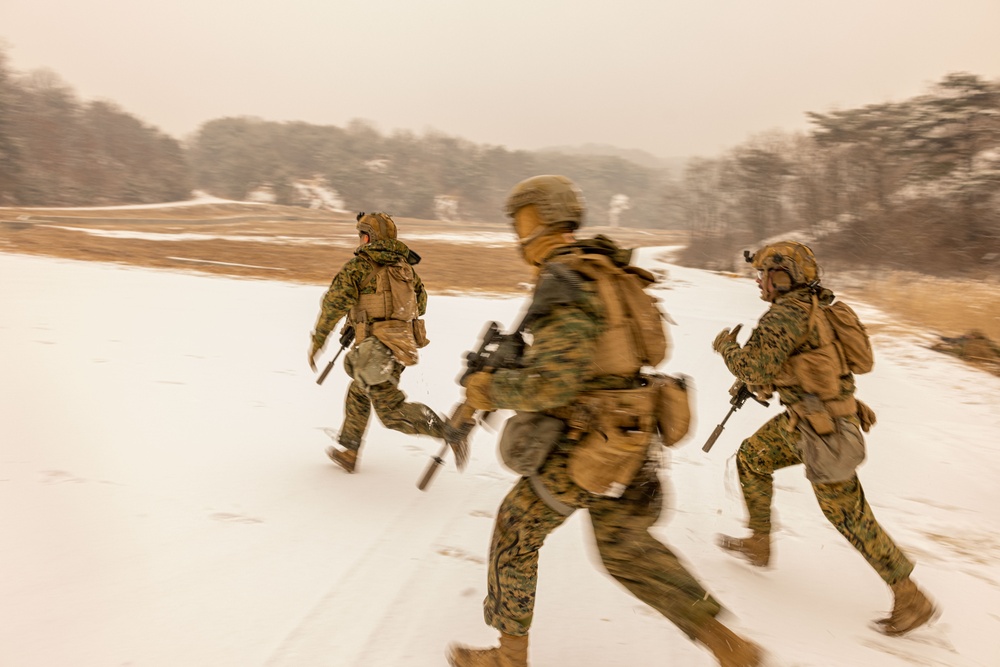 U.S. Marines Execute Live Fire Platoon Attacks During Korea Viper 25.2 