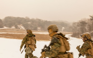 U.S. Marines Execute Live Fire Platoon Attacks During Korea Viper 25.2 