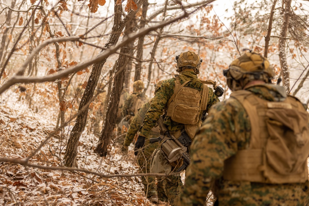 U.S. Marines Execute Live Fire Platoon Attacks During Korea Viper 25.2 