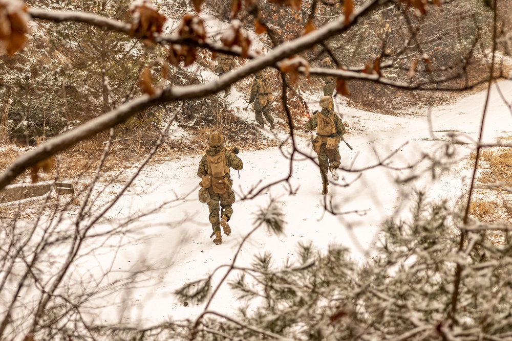 U.S. Marines Execute Live Fire Platoon Attacks During Korea Viper 25.2 