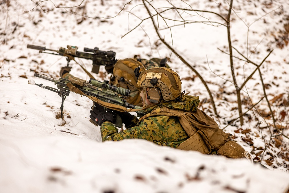 U.S. Marines Execute Live Fire Platoon Attacks During Korea Viper 25.2 