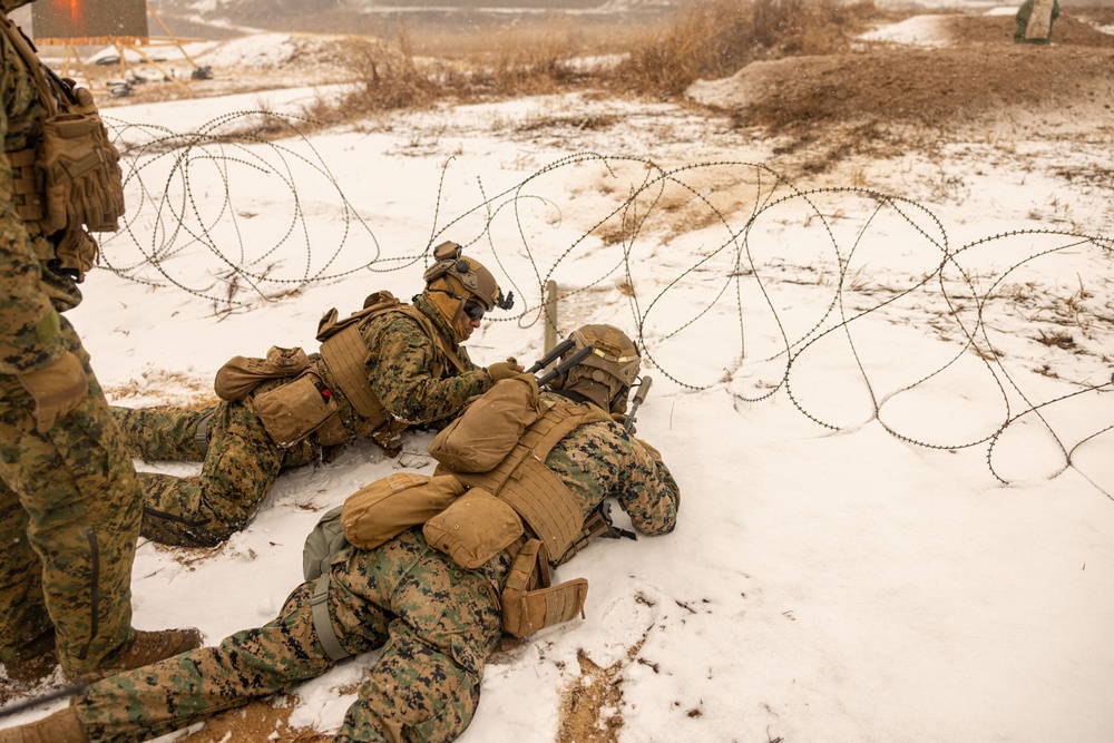 U.S. Marines Execute Live Fire Platoon Attacks During Korea Viper 25.2 