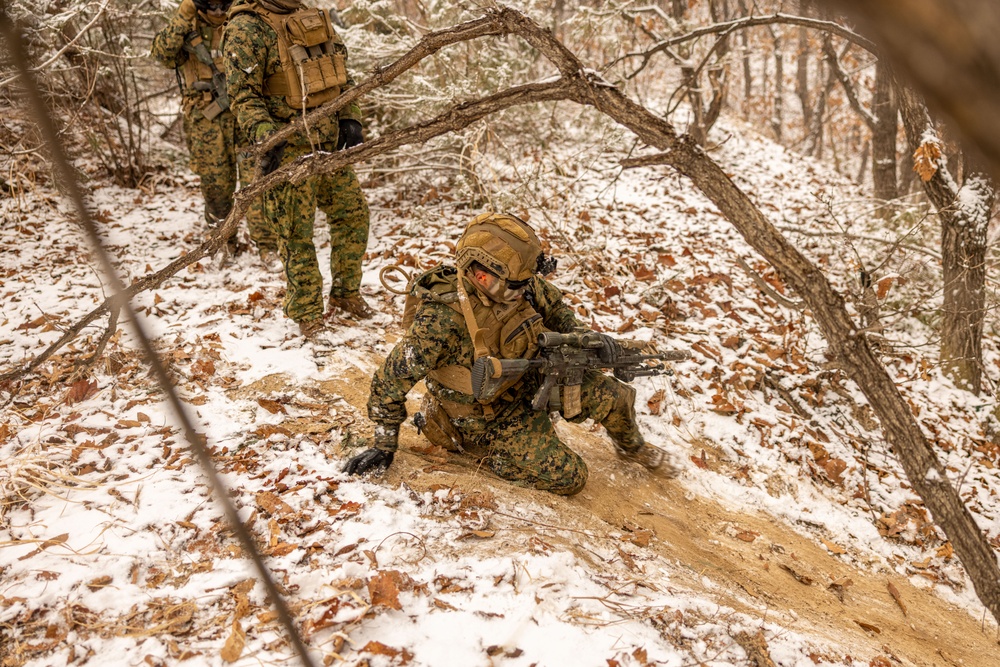 U.S. Marines Execute Live Fire Platoon Attacks During Korea Viper 25.2 