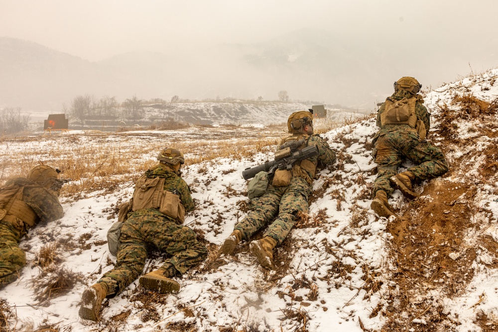 U.S. Marines Execute Live Fire Platoon Attacks During Korea Viper 25.2 