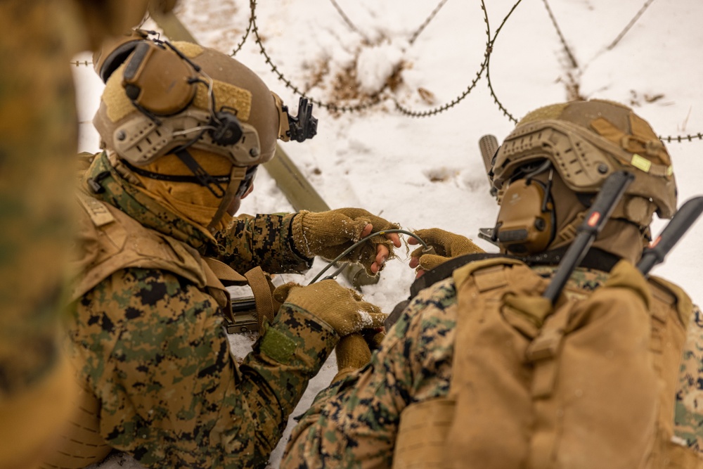 U.S. Marines Execute Live Fire Platoon Attacks During Korea Viper 25.2 