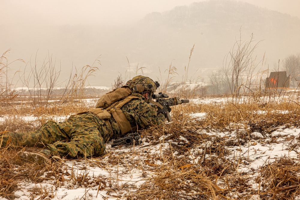 U.S. Marines Execute Live Fire Platoon Attacks During Korea Viper 25.2 