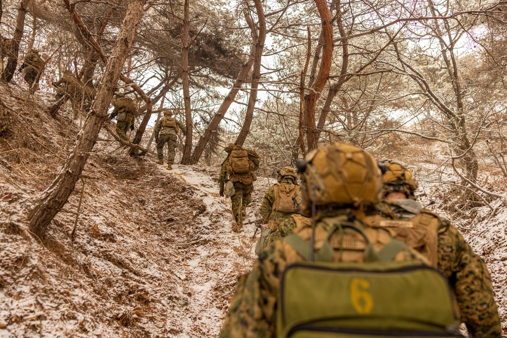 U.S. Marines Execute Live Fire Platoon Attacks During Korea Viper 25.2 