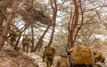 U.S. Marines Execute Live Fire Platoon Attacks During Korea Viper 25.2 