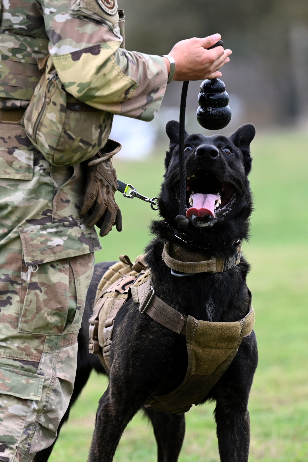 902nd Security Forces Squadron military working dog team visits local school