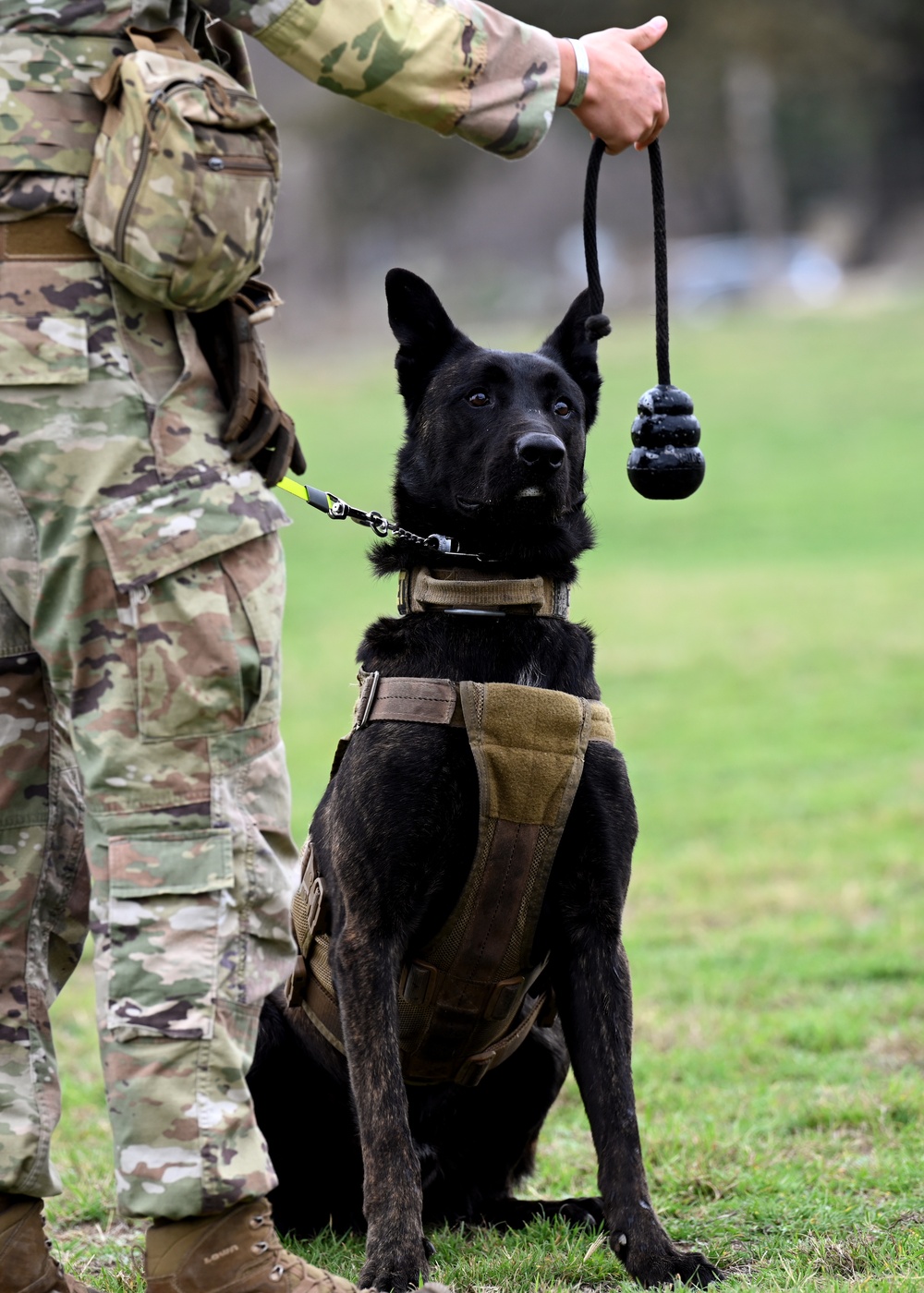 902nd Security Forces Squadron military working dog team visits local school