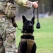 902nd Security Forces Squadron military working dog team visits local school