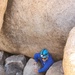 NMRTC Twentynine Palms Sailors build resiliency in the Joshua Tree desert