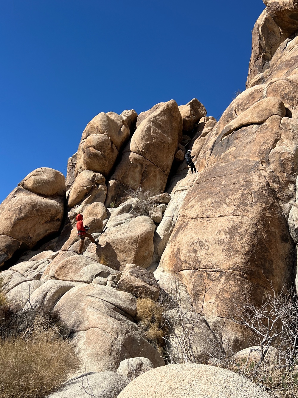 NMRTC Twentynine Palms Sailors build resiliency in the Joshua Tree desert