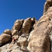 NMRTC Twentynine Palms Sailors build resiliency in the Joshua Tree desert