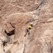 NMRTC Twentynine Palms Sailors build resiliency in the Joshua Tree desert