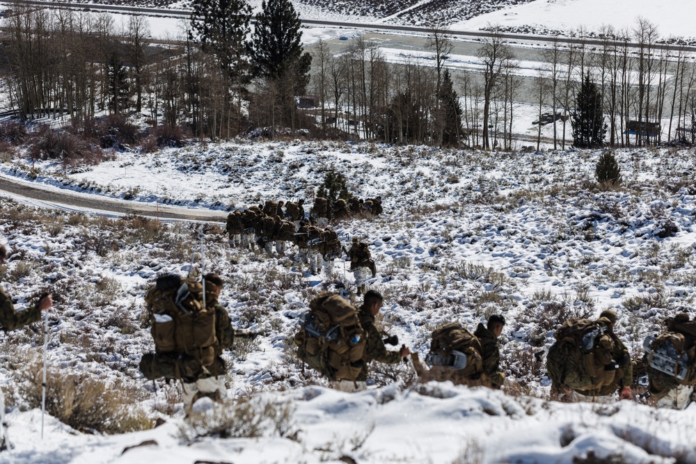 3rd Bn., 5th Marines wraps up MTX 1-25