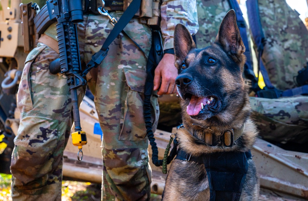 Air Force Reservist security forces train at Exercise NEXUS FORGE