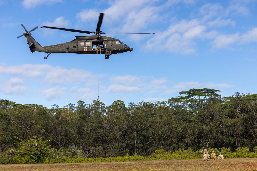 Jungle Medicine Course 2025