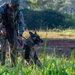 Military Working Dogs