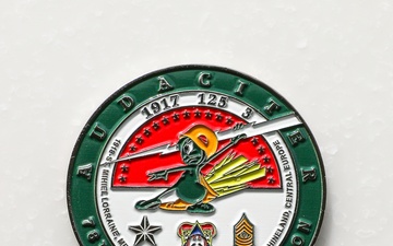 78th Training Division Coin