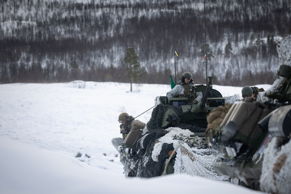 Exercise Joint Viking 25: LAV Gunnery