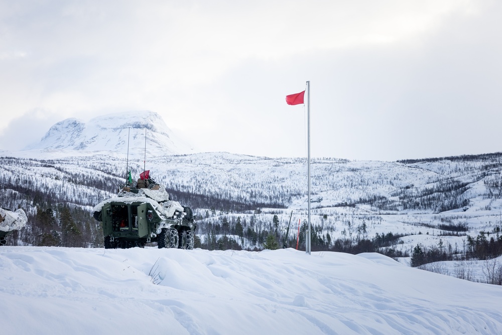 Exercise Joint Viking 25: LAV Gunnery