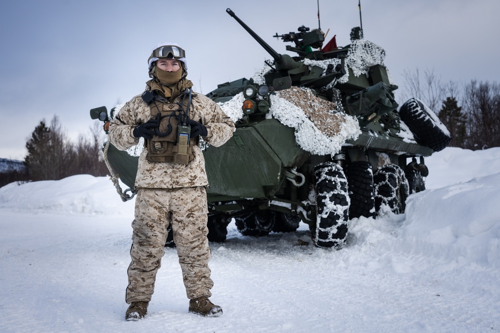 Exercise Joint Viking 25: LAV Gunnery