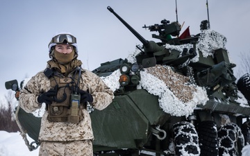 Exercise Joint Viking 25: LAV Gunnery