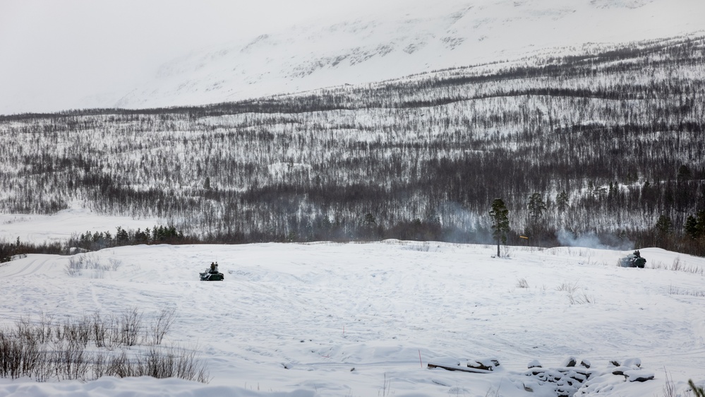 Exercise Joint Viking 25: LAV Gunnery