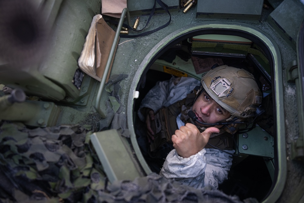 Exercise Joint Viking 25: LAV Gunnery