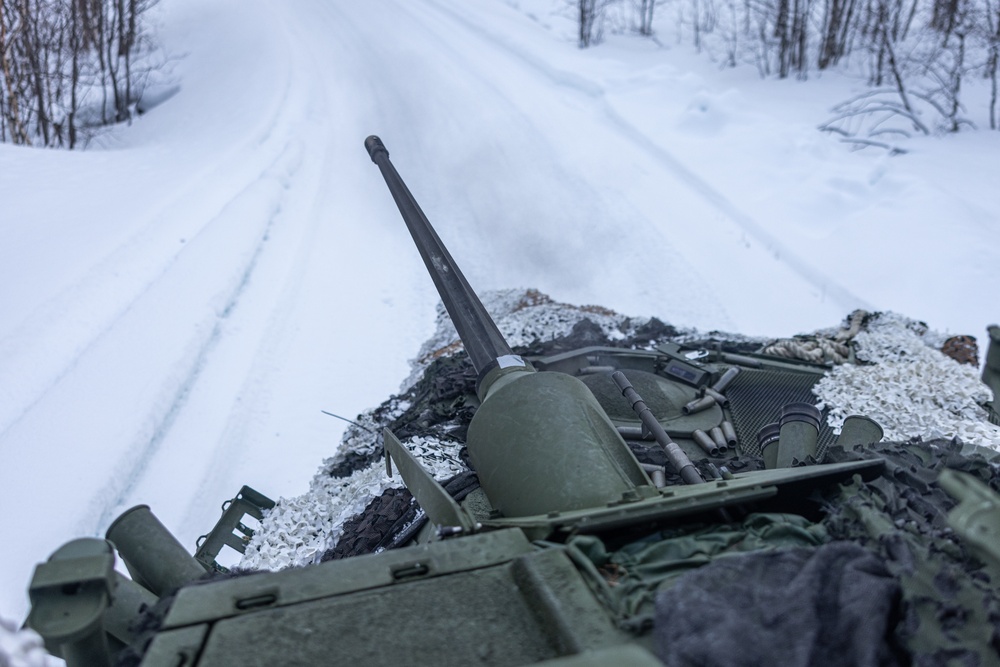 Exercise Joint Viking 25: LAV Gunnery