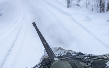 Exercise Joint Viking 25: LAV Gunnery