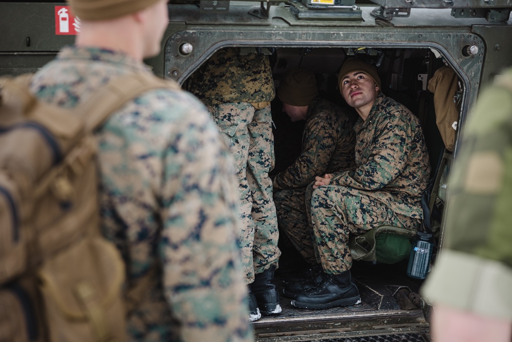 Exercise Joint Viking 25: Armored Vehicle Capabilities Exchange