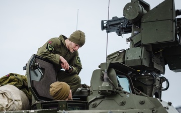 Exercise Joint Viking 25: Armored Vehicle Capabilities Exchange