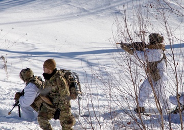 Exercise Gothic Sentinel Day 3