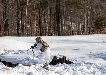 Exercise Gothic Sentinel Day 3