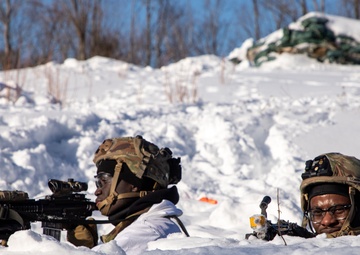 Exercise Gothic Sentinel Day 3