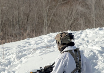 Exercise Gothic Sentinel Day 3