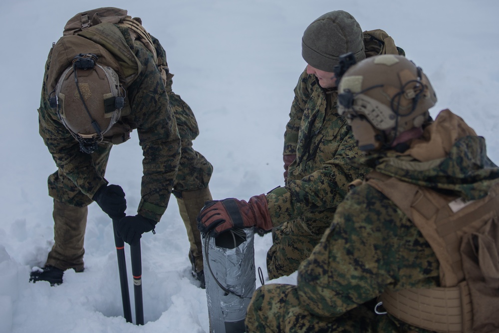 Exercise Joint Viking 25: 2d CEB Demolition Range