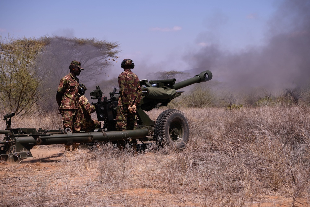 US, KDF control aircraft during an air ground integration display at Justified Accord