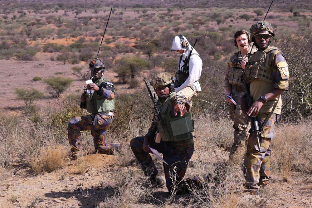 US, KDF control aircraft during an air ground integration display at Justified Accord