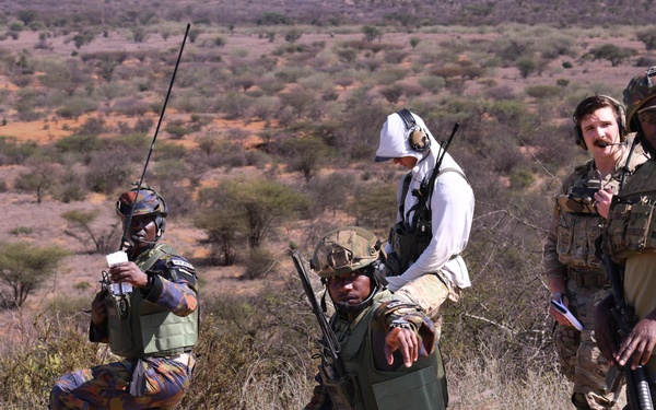 US, KDF control aircraft during an air ground integration display at Justified Accord
